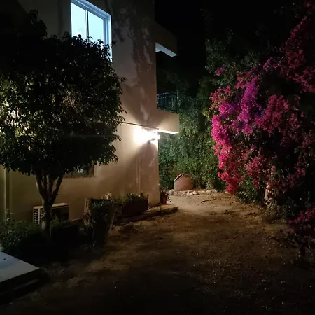 Renos 4*