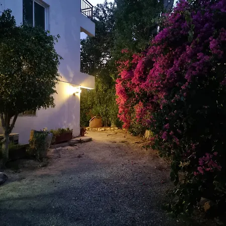 Renos 4* Polis