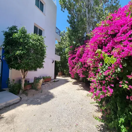 Renos 4* Polis